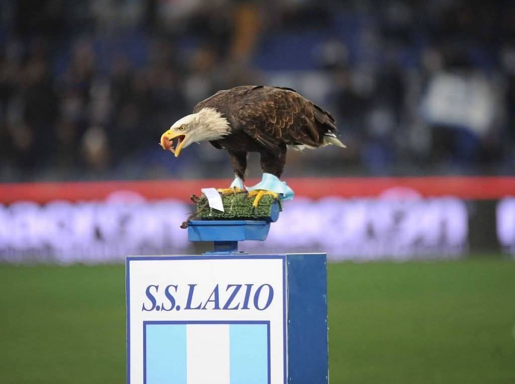 IRÁNY A SASFÉSZEK!